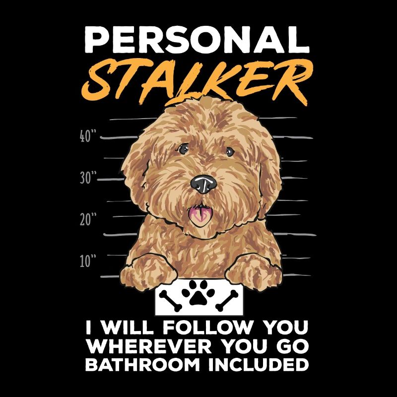 Goldendoodle Doodle Dog
