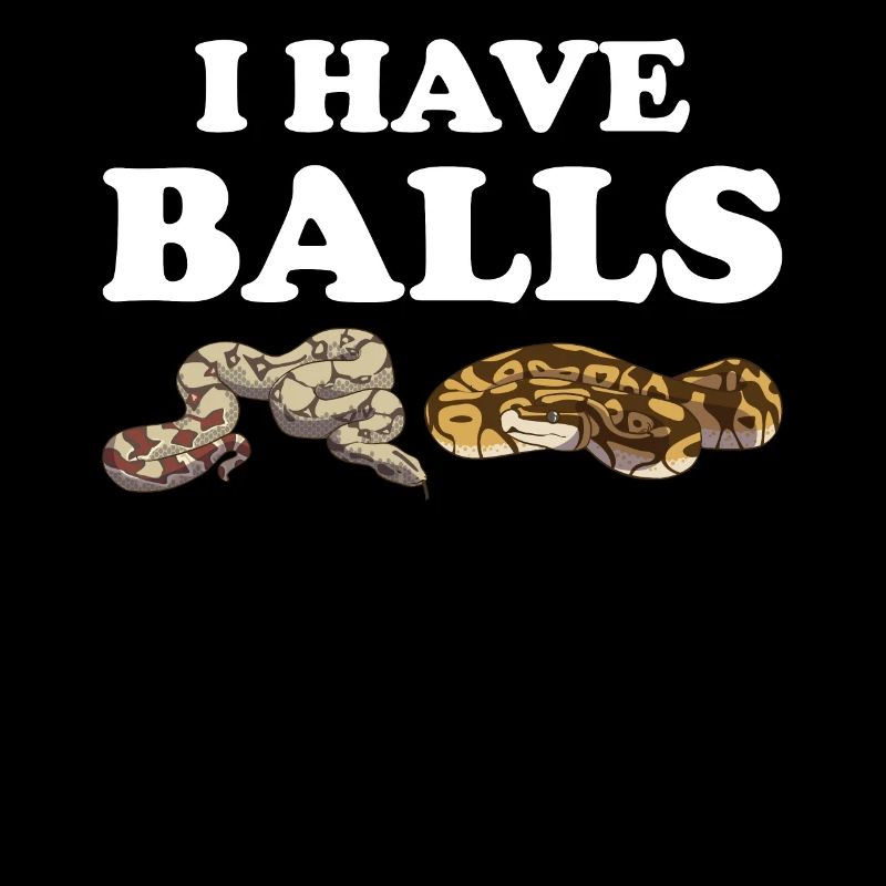 Funny Ball Python Snake