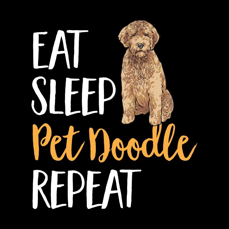 Goldendoodle Doodle Chien