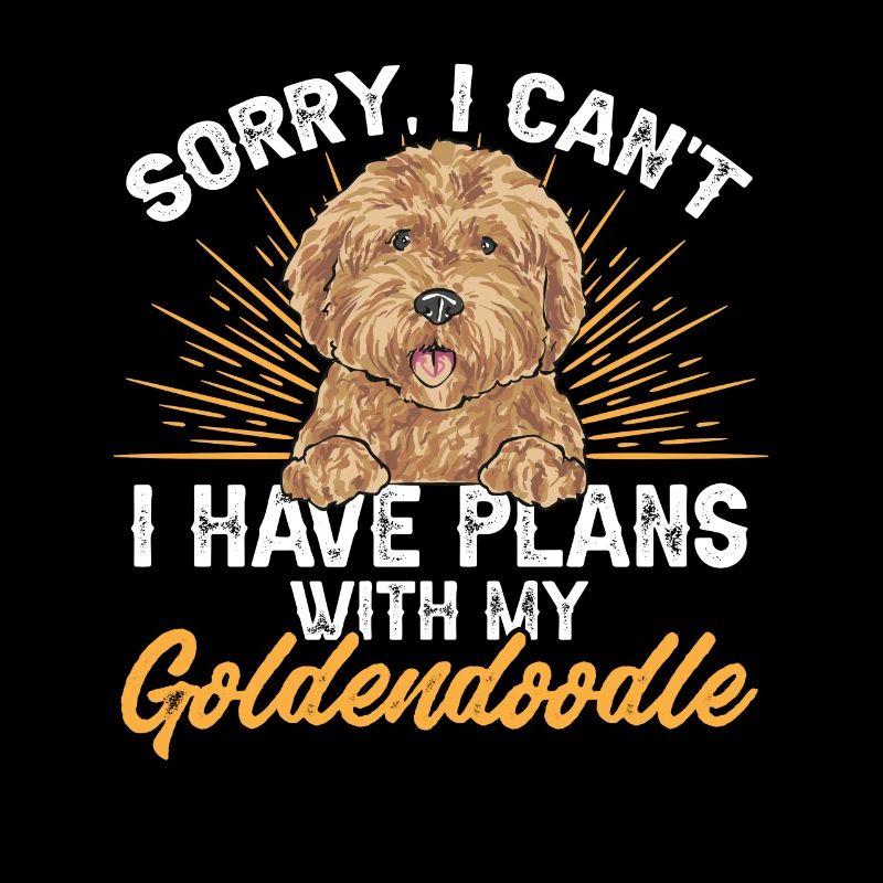 Goldendoodle Doodle Dog