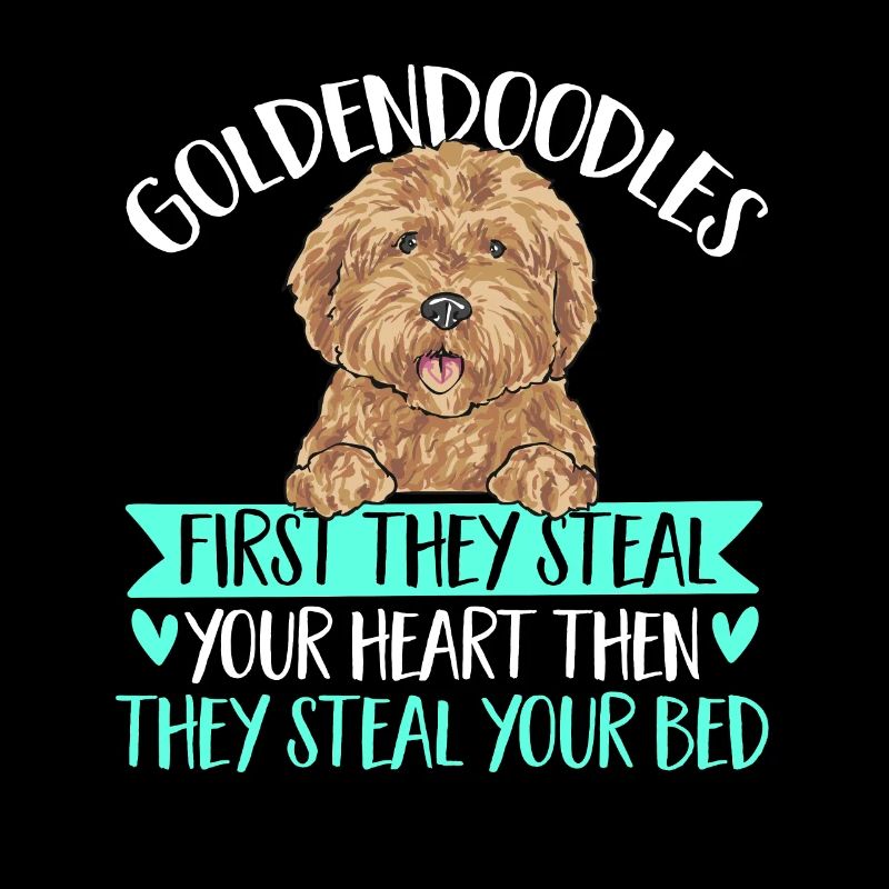 Goldendoodle Doodle Chien