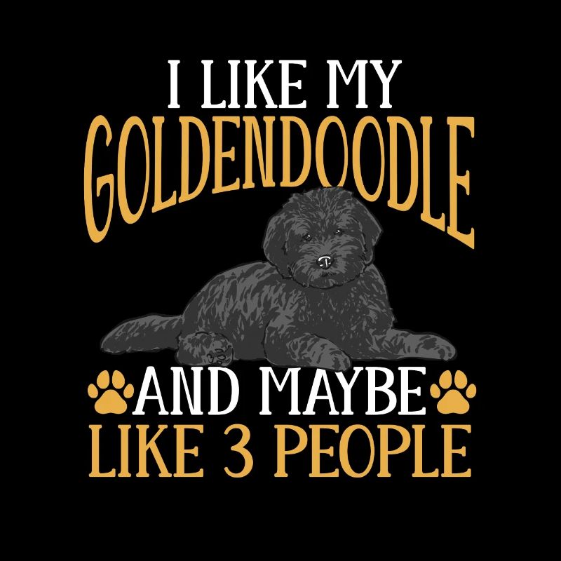 Chien Doodle Black Goldendoodle