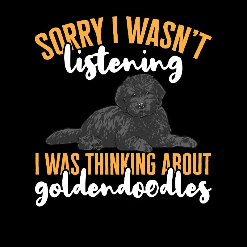 Chien Doodle Black Goldendoodle