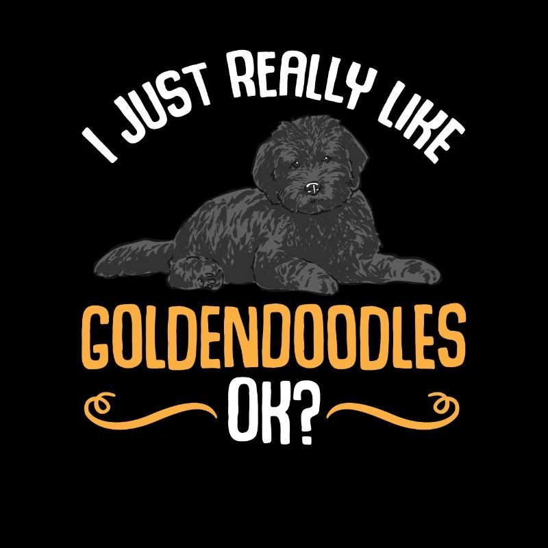 Chien Doodle Black Goldendoodle