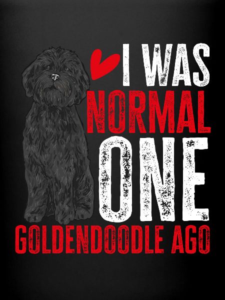 Chien Doodle Black Goldendoodle