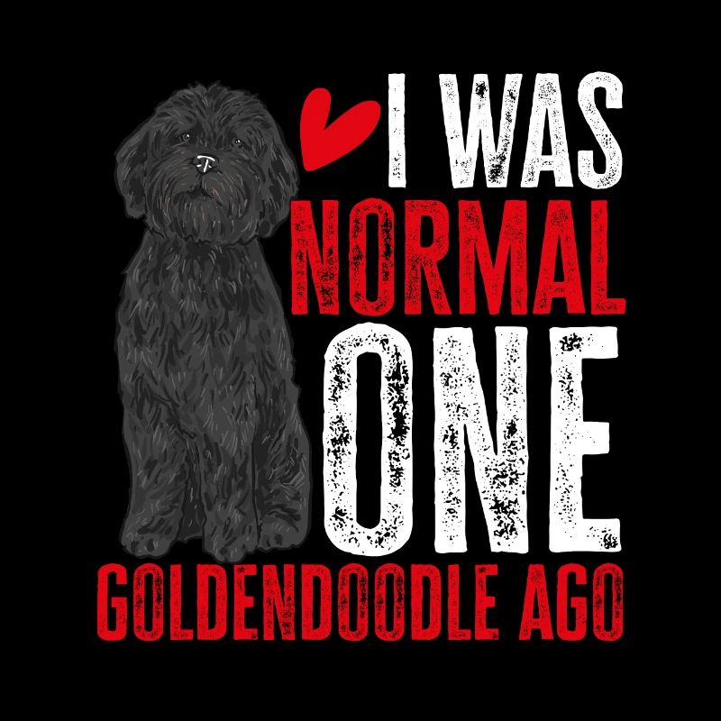 Chien Doodle Black Goldendoodle