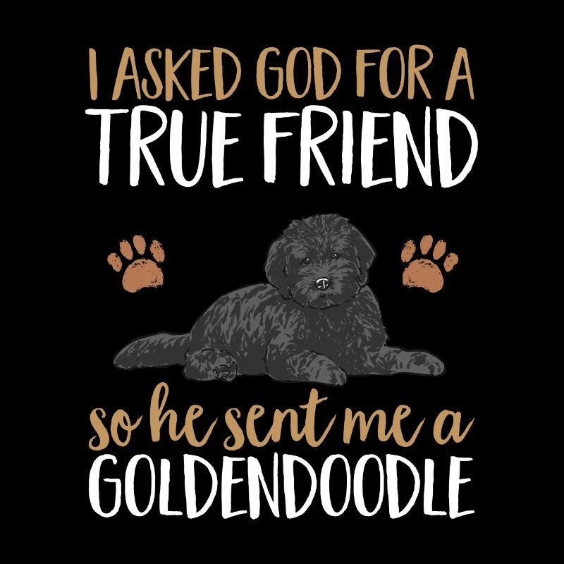 Chien Doodle Black Goldendoodle