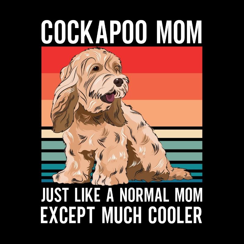 Cockapoo Hund