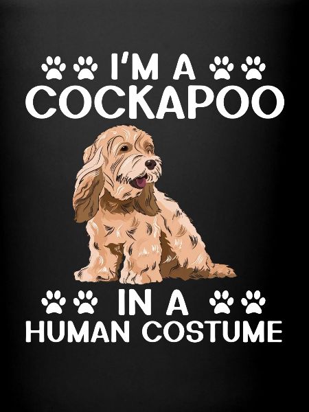 Cockapoo Dog