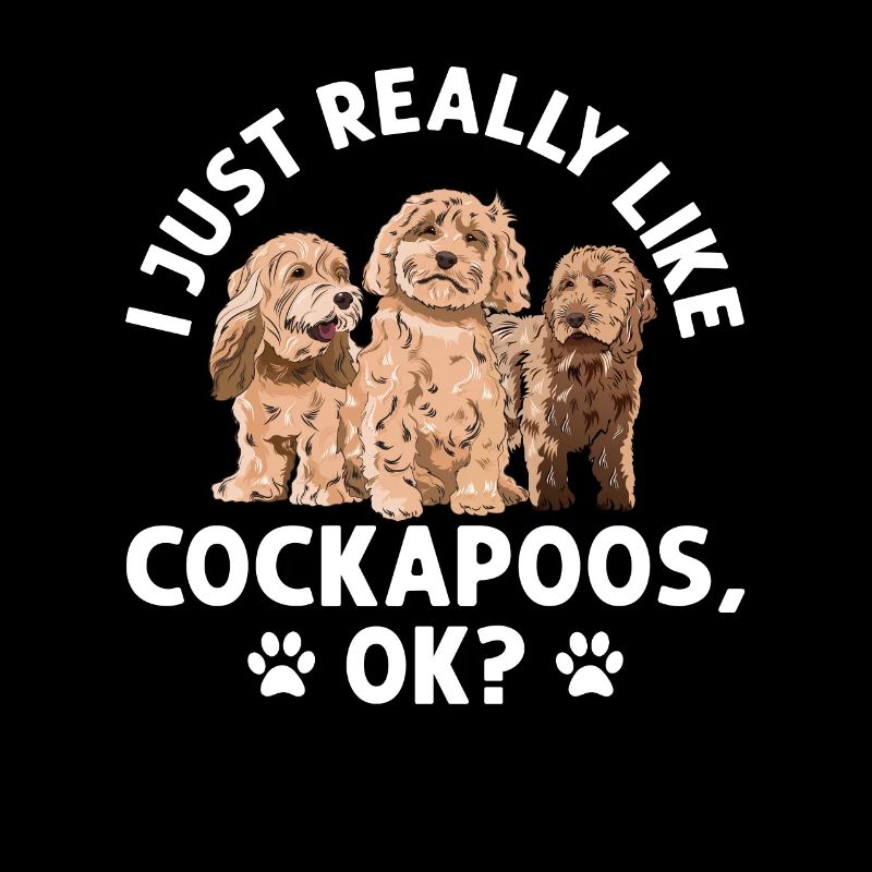 Cockapoo Chien