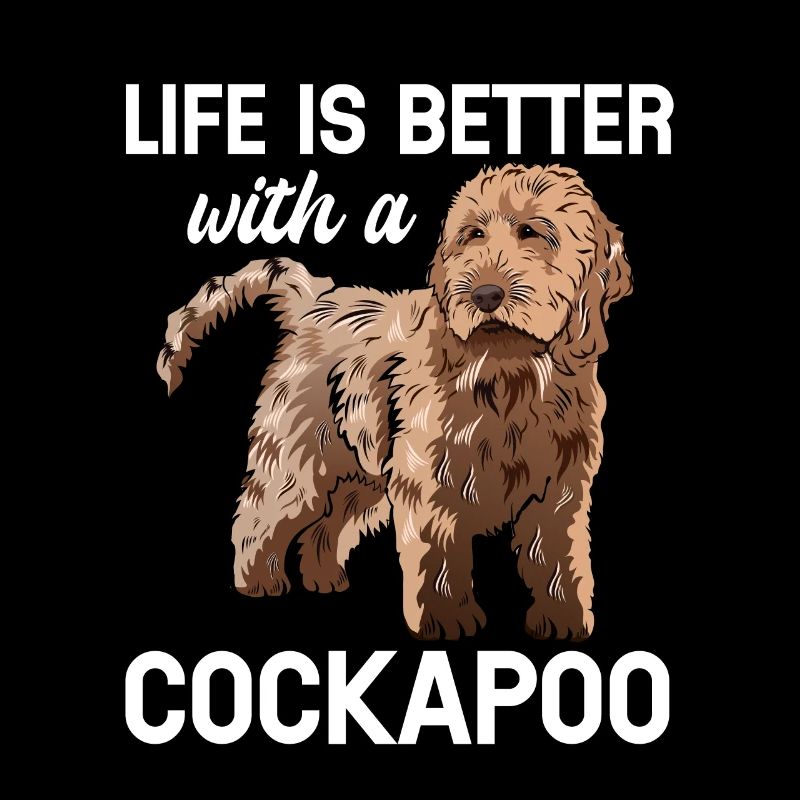 Cockapoo Chien