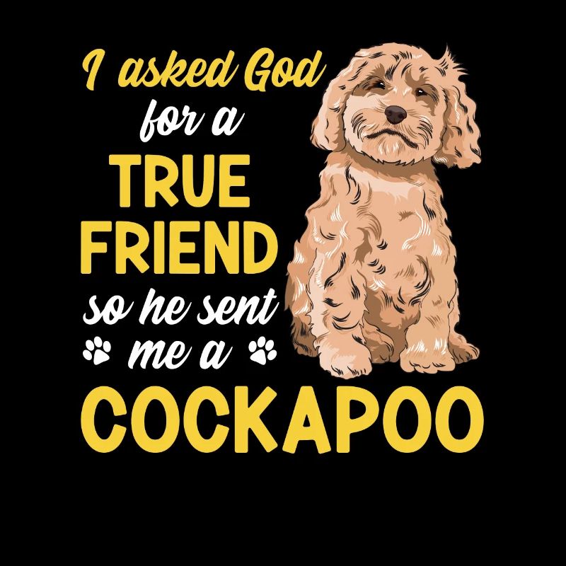Cockapoo Chien
