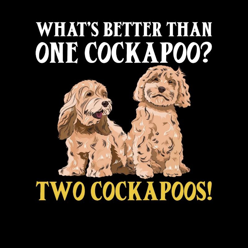 Cockapoo Chien