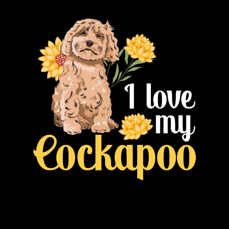 Cockapoo Chien