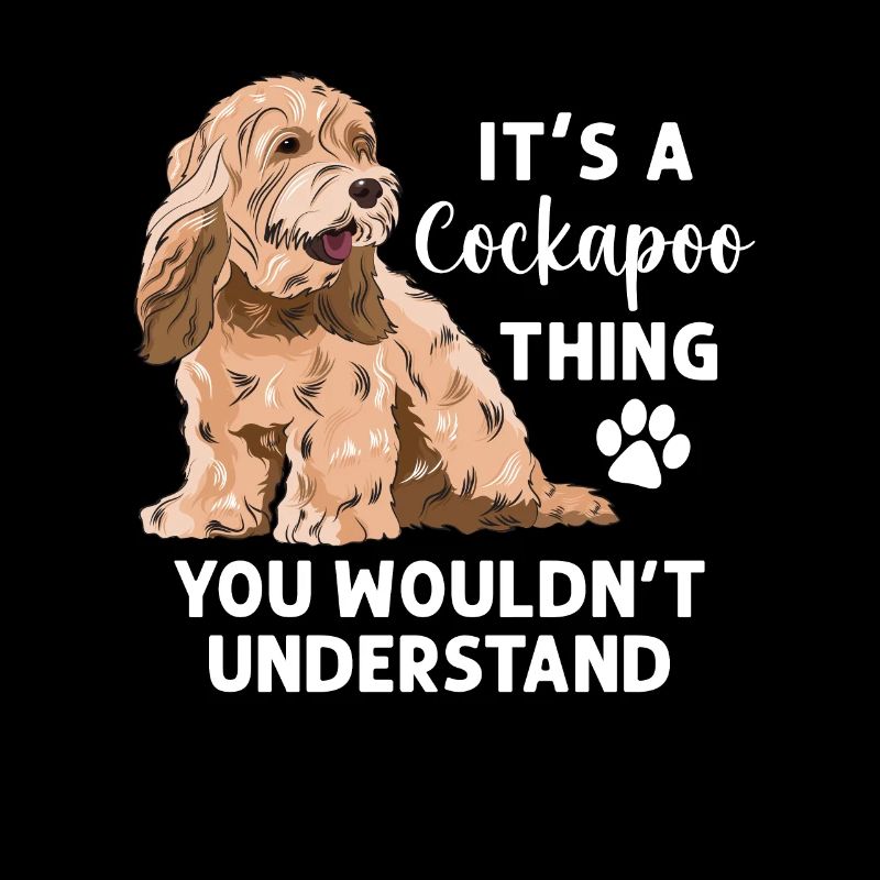Cockapoo Hund