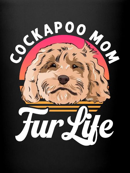 Cockapoo Dog