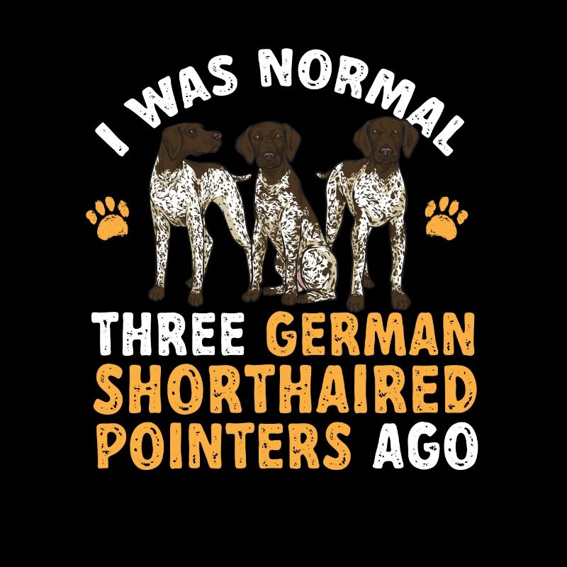 Deutsch Kurzhaar GSP Hund