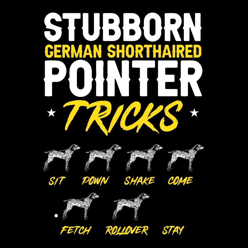 Deutsch Kurzhaar GSP Hund