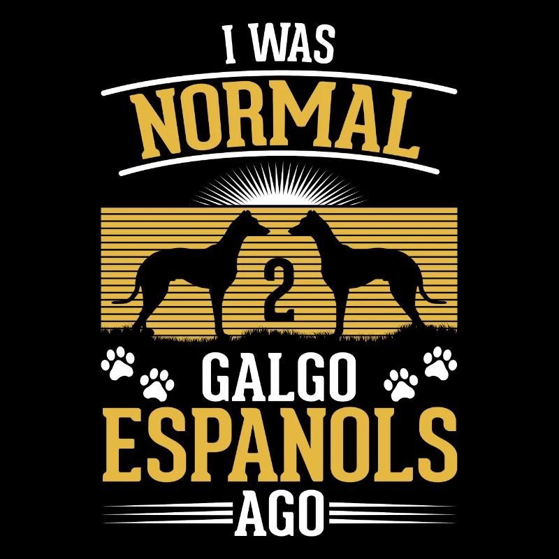 Galgo Espanol 2 Spanische Windhunde Galgo