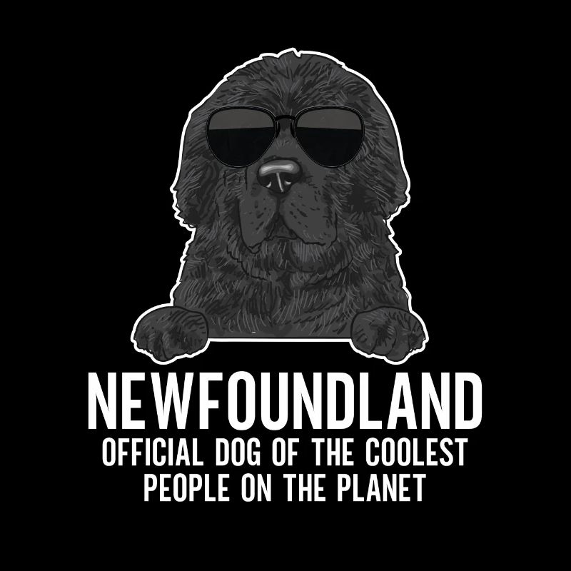 Terre-Neuve Chien de Terre-Neuve