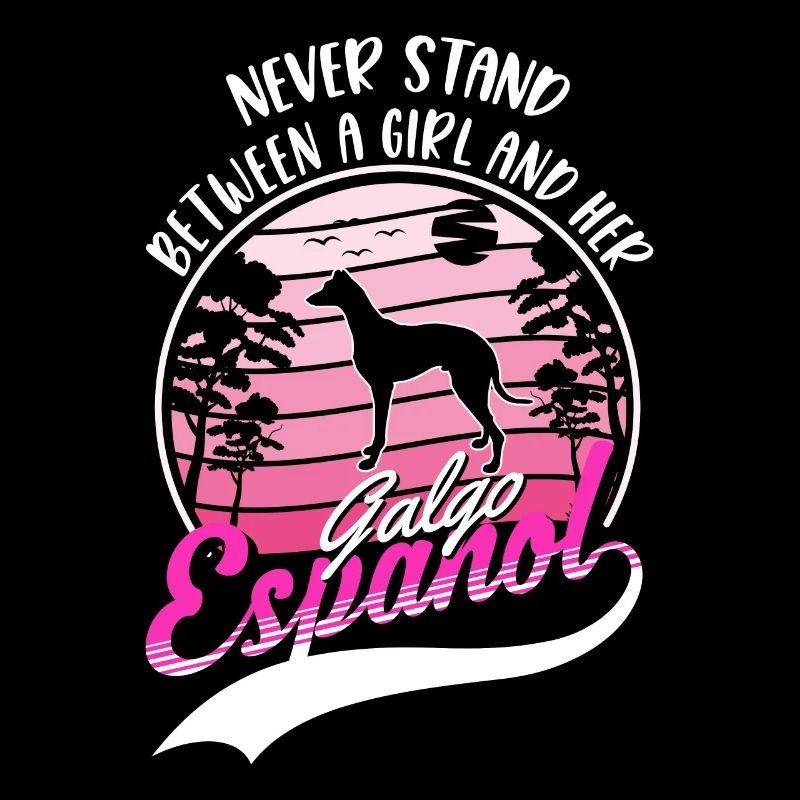 Galgo Espanol Mädchen Spanischer Windhund Galgo