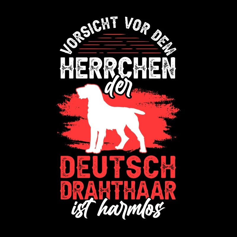 Deutsch Drahthaar Herrchen Jagdhund