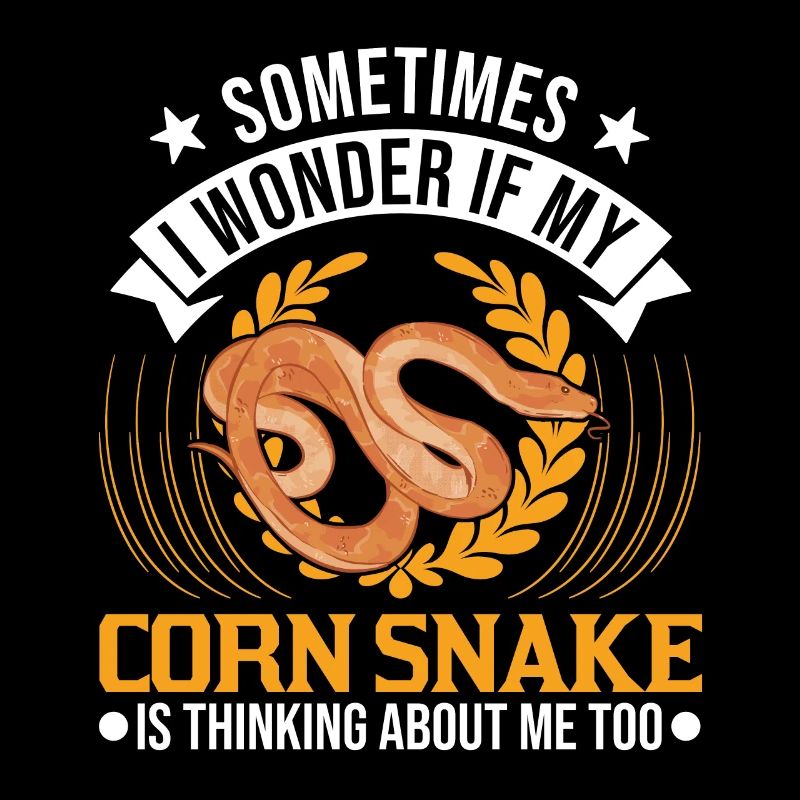Corn Snake Cadeau Corn Snake