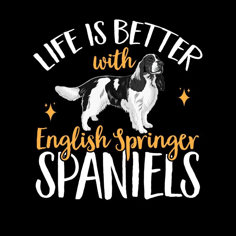 English Springer Spaniel Dog
