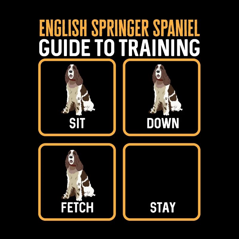 Chien d’épagneul Springer anglais