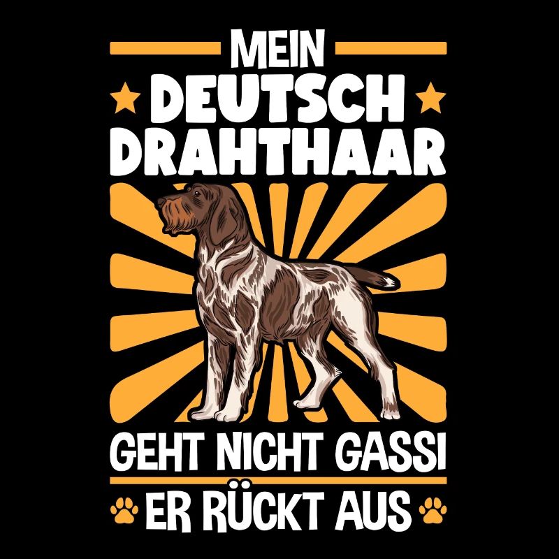 Deutsch Drahthaar Gassi gehen Jagdhund