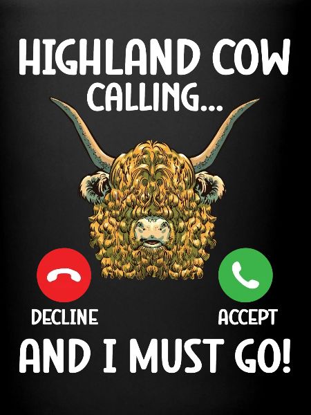Vache des Highlands