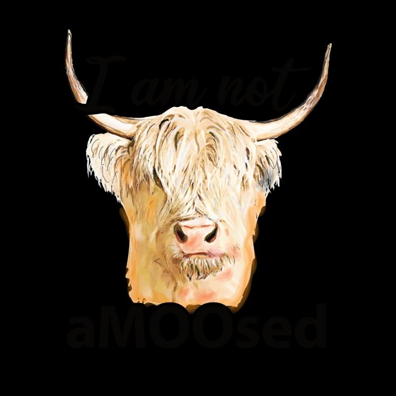 Vache des Highlands