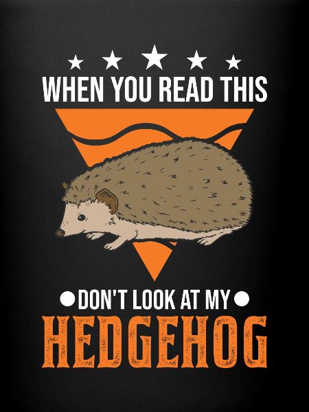 Hedgehog Gift Stacheligel
