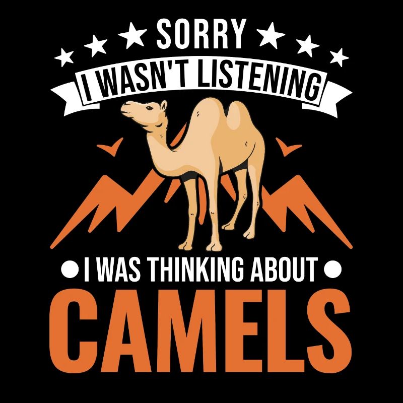 Kamel Dromedar Ägypten Geschenk Großkamel