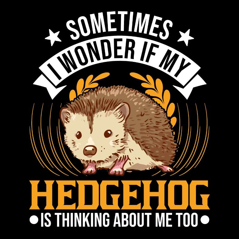 Igel Geschenk Stacheligel