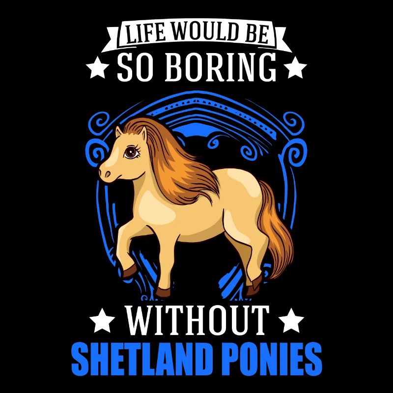 Shetland Pony Gift Shetty