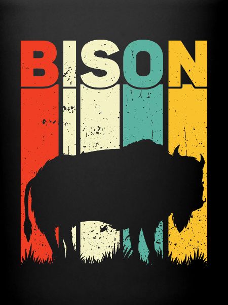 Bison