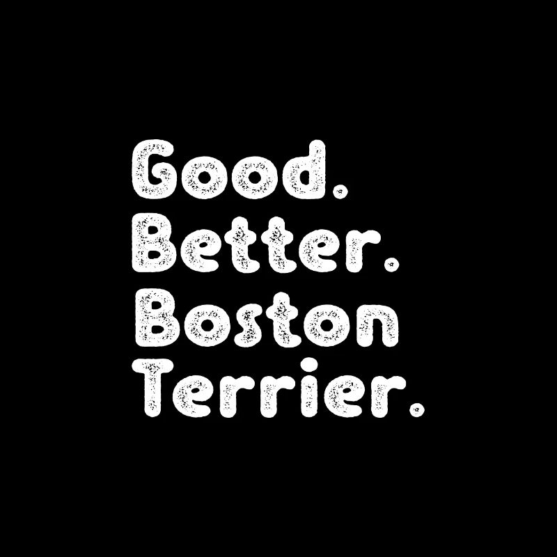 Boston Terrier