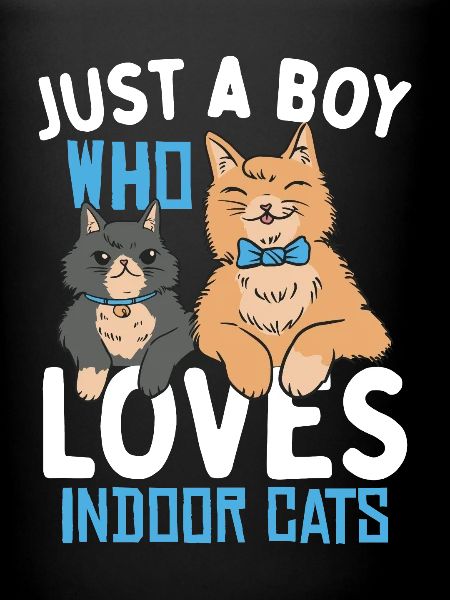 Chat d’intérieur pour enfants