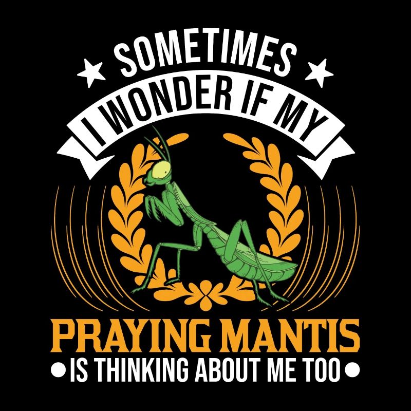 Praying mantis Gift Mantis Mantis