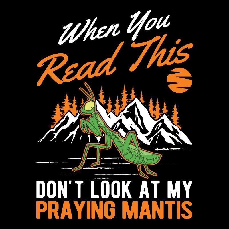 Praying mantis Gift Mantis Mantis
