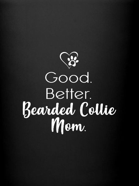 Collie barbu