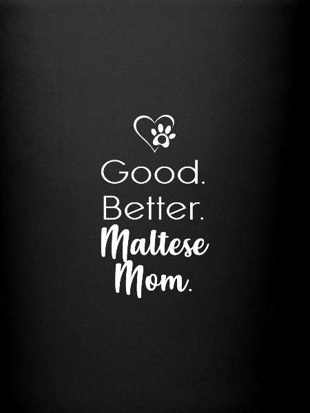 Maltese
