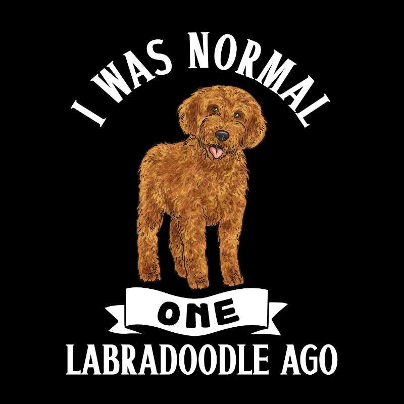 Labradoodle Chien