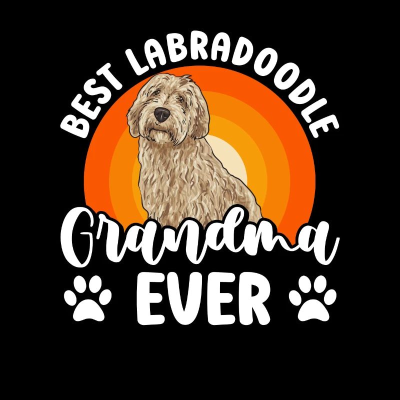 Labradoodle Hund