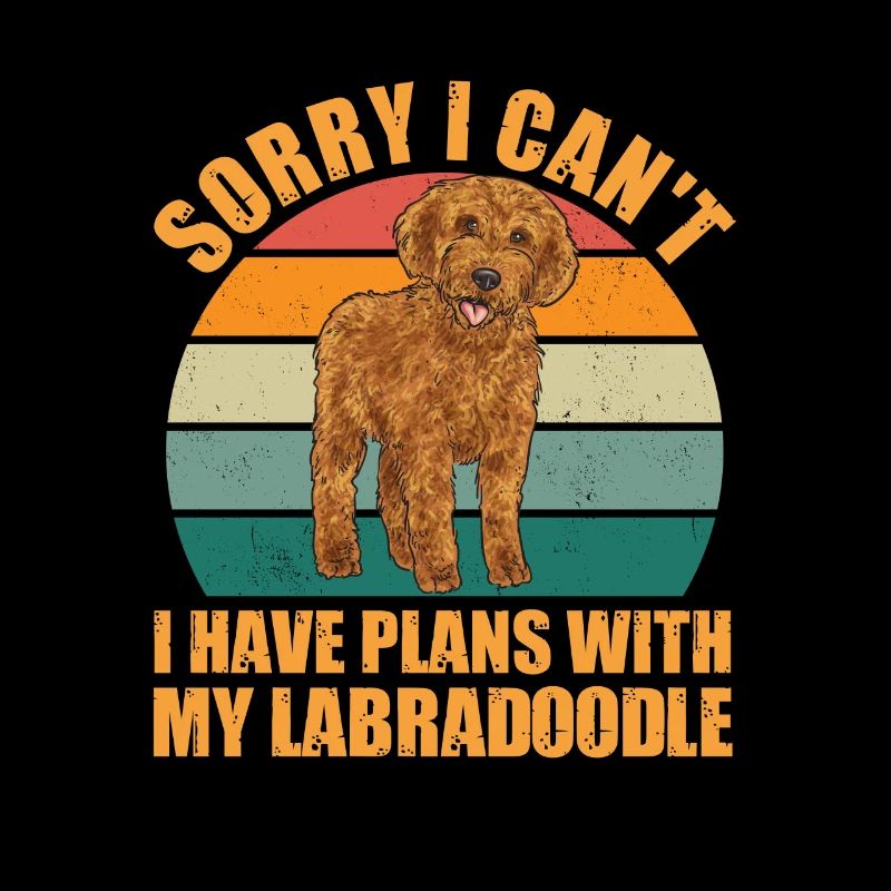 Labradoodle Hund