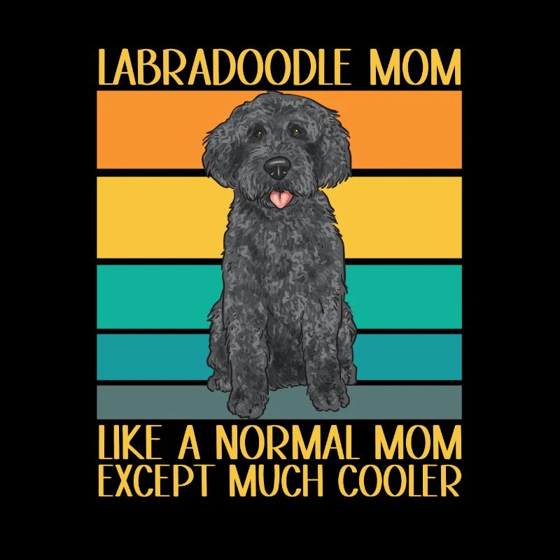Labradoodle Chien