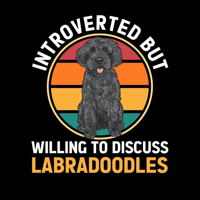 Labradoodle Hund