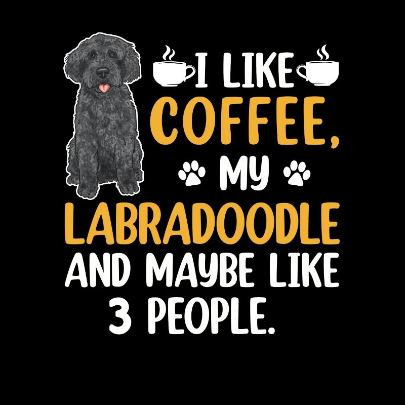 Labradoodle Hund