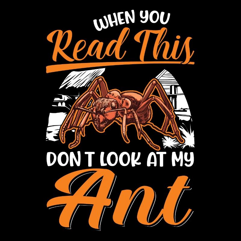 Ants Gift Anthill Fire Ant